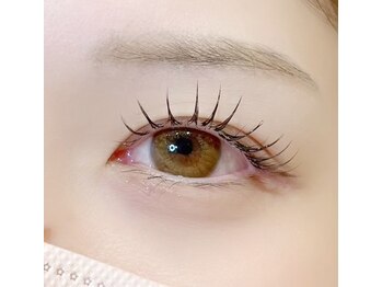 ビーティー(bT)/