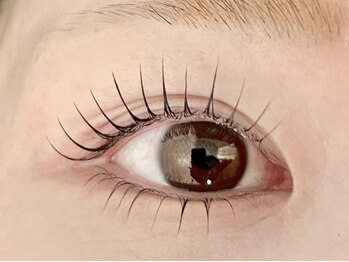 トータル ビューティサロン アイズ(Eye's)の写真/LEDエクステも導入!!まつ毛パーマからパリジェンヌ、メーテルロッド、マスカラパーマなどメニューも豊富♪