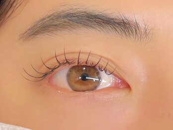 ルシアラッシュブロウ 新宿(LUCIA LASH BROW)/フラットラッシュ