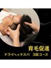 【育毛促進の第一歩はまずここから】★育毛促進ドライヘッドスパ3回コース