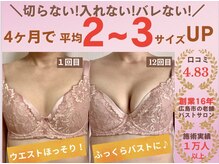 バストサロン メルベイユ(Merveile)