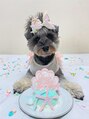 ハウオリ(HAU'OLI) 愛犬の"HAU"（はう）です☆性格似てるねとよく言われます笑