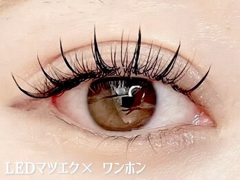 レナトゥス 堀江心斎橋(Renatus)/まつげパーマ×LEDマツエク