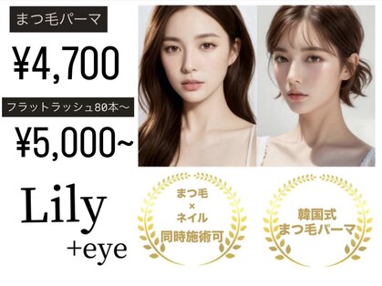 リリー(Lily)の写真