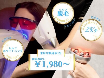 ランプ(lamp)の写真