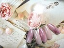 5月定額サンプル:シンプル