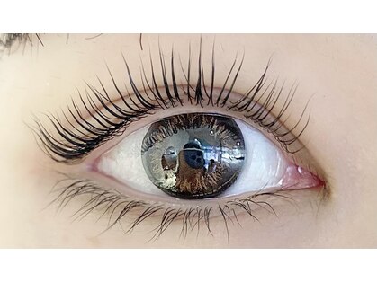 サッシーラッシュ(SASSY LASH)の写真