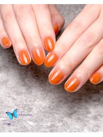 ちゅるんとワンカラー