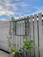 ポポキマッサージ 麻布十番(POPOKI MASSAGE)/ベランダガーデニング