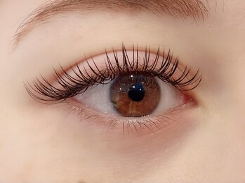 アルヴィー(ARVIE)/LEDフラットラッシュ120本