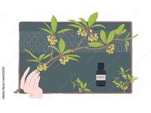 アウン(aUN)/クロモジ