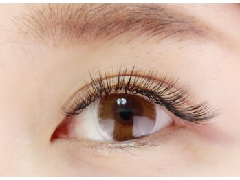 ビューティーサロン ココ多治見店(Beauty salon COCO)/シングルプラス