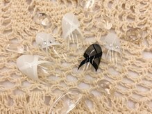 アンティム(Intime)/2021年9月キャンペーンデザイン