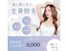 【始めるなら今！】全身美肌脱毛（お顔、VIO含む）1回¥27500 →¥11000
