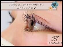 マックスラッシュ(MAX LASH)/パリジェンヌラッシュリフト