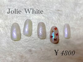 定額4800円
