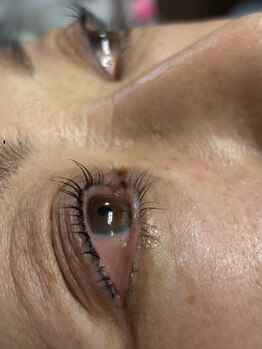 モア 公津の杜(MORE)/まつ毛パーマ