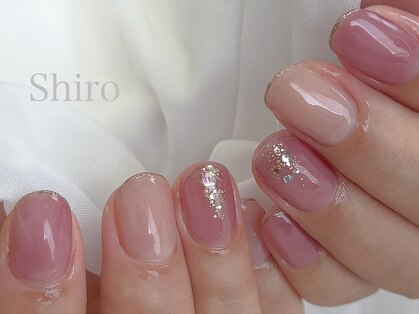 シロ(shiro)の写真