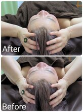 ラクシス(Luxis)/ヒマラヤンドライヘッド