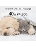 全身もみほぐし40分(強コリ痛み部分にラジオ波10分)  40分 ¥4,300