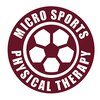 ミクロスポーツ整骨院(MICRO SPORTS整骨院)のお店ロゴ
