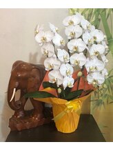 中華街整体院&nbsp;張（男） 
