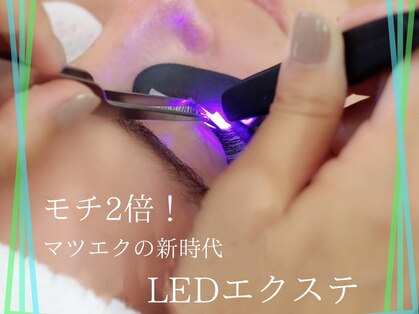 エミュー(emu)の写真