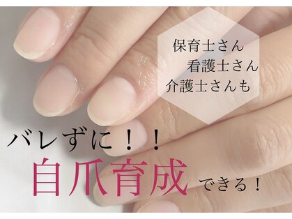 シュシュ(shou shou)の写真