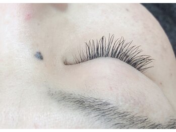 シルフ 石橋店(Sylph)/カシ.ミヤ、Cカール、100本