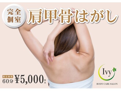 アイビー(Ivy)の写真