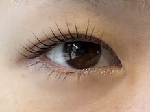 エレミ(ELEMI)/lashperm