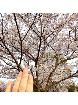 桃の木 吉祥寺店/サヨナラ過ぎゆく春