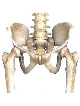 豊中メディカル整体院/骨盤と背骨