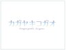 ▼ここからは人気メニュークーポン▼