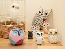 玄関では可愛いふくろう達が貴女をお出迎えいたします＊