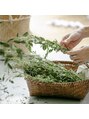 サルースファルマ 成田店(SALUS PHARMA)/サルースファルマ 成田店