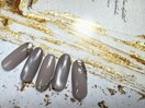 5月定額サンプル:オフィス