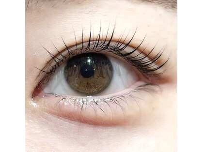 シトロン(Citron)の写真