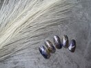 ￥5900定額デザインコース