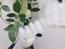 トレンド定額デザイン♪