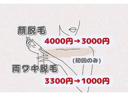 イデアル(ideal)の写真