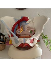 骨盤底筋ラボ フリーダ/カウセリング