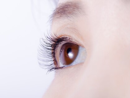 ヨーク(YOKE)の写真