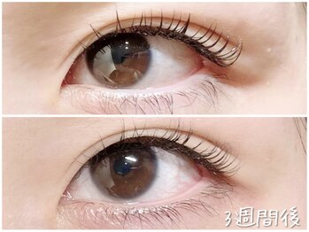 アイラッシュアンドネイル専門店 クラル 茅ヶ崎店(CURAR)/セラムラッシュリフト♪