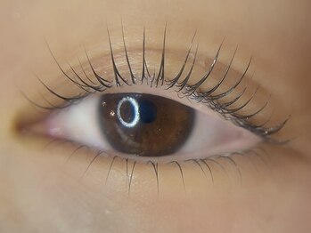 アイラッシュサロン ラコタ 銀座一丁目店(eyelash salon RACOTA)/上下ラッシュリフト
