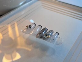 フレンチ定額コース