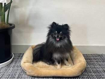 ユニファイ(Unify)/わんちゃん同伴可◎