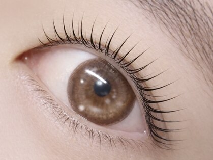 まつげの恵の写真