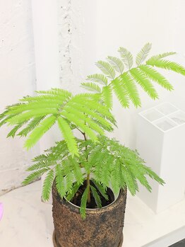 アジア整体 天白院/