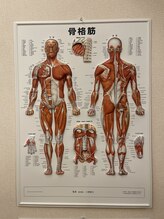 坂口カイロプラクティック整体院/院内写真